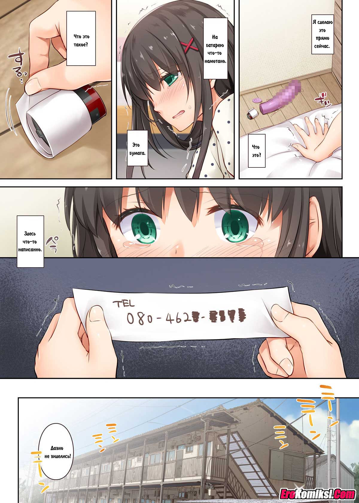 029-1 Порно комикс "Правильный выбор".